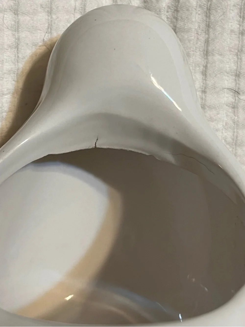 White Glossy Ceramic Bird Plant Pot